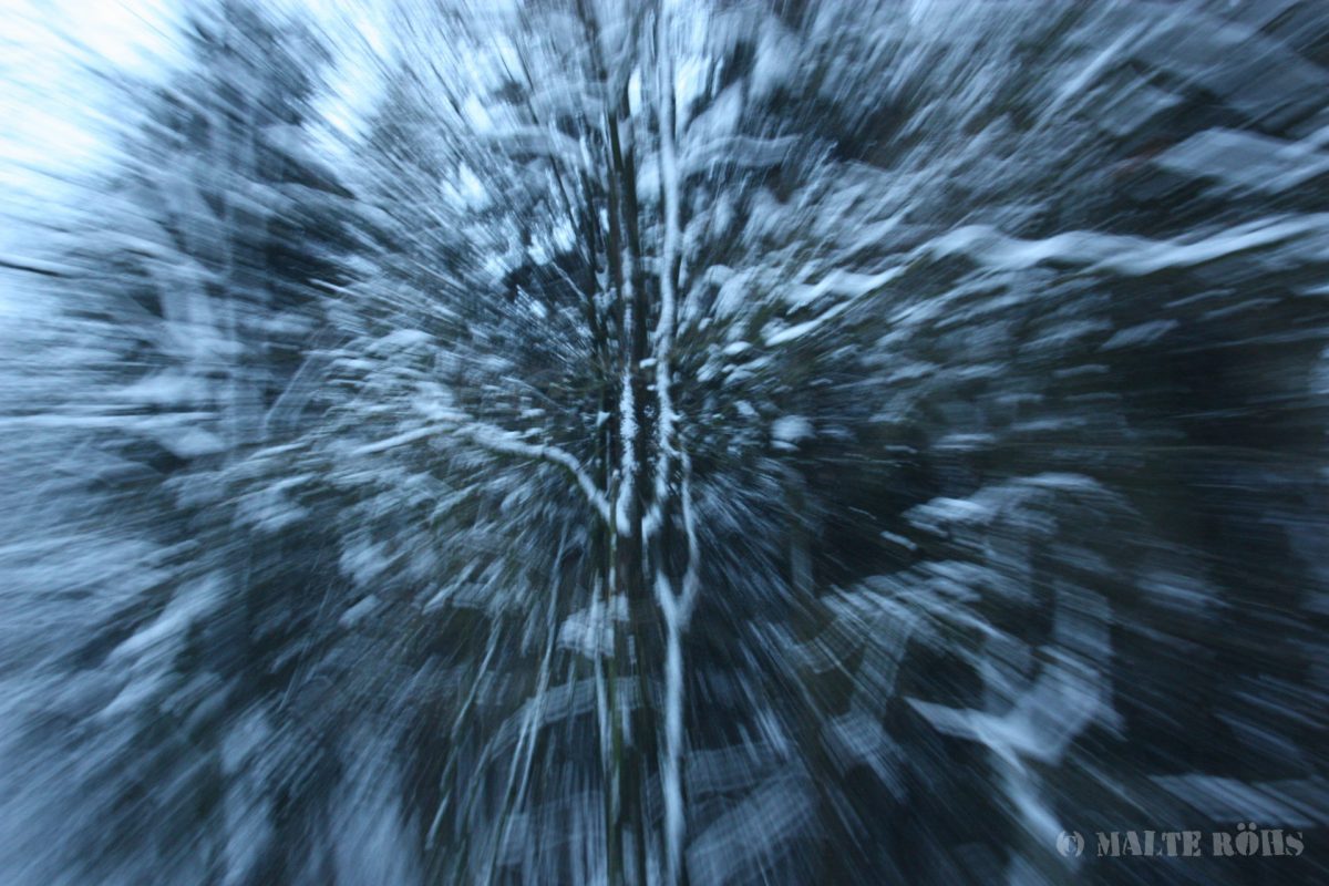 Picture of a snowy wood taken while zooming in