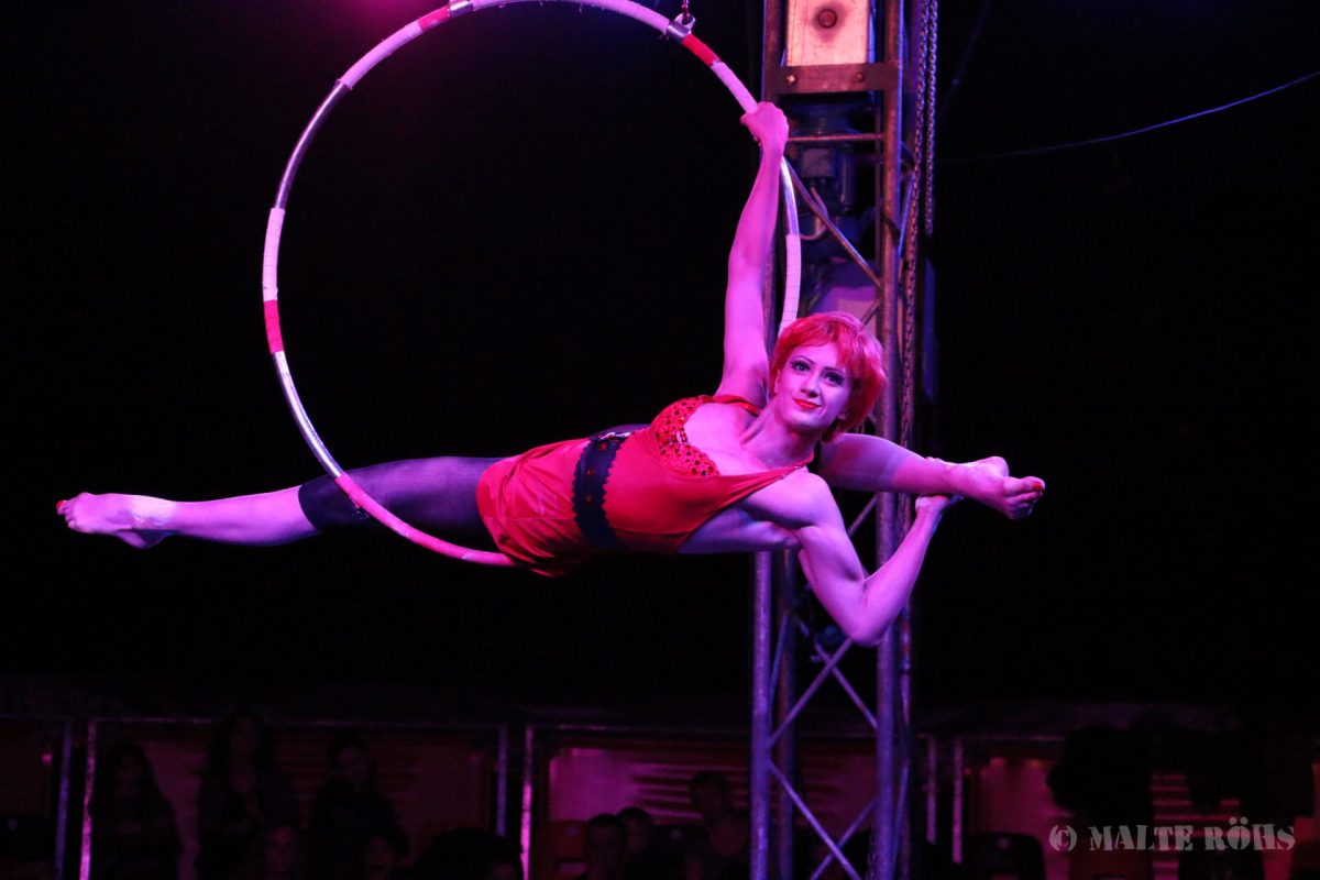 Woman during an amazing acrobatic aerial ring performance in a show of circus EigenArt