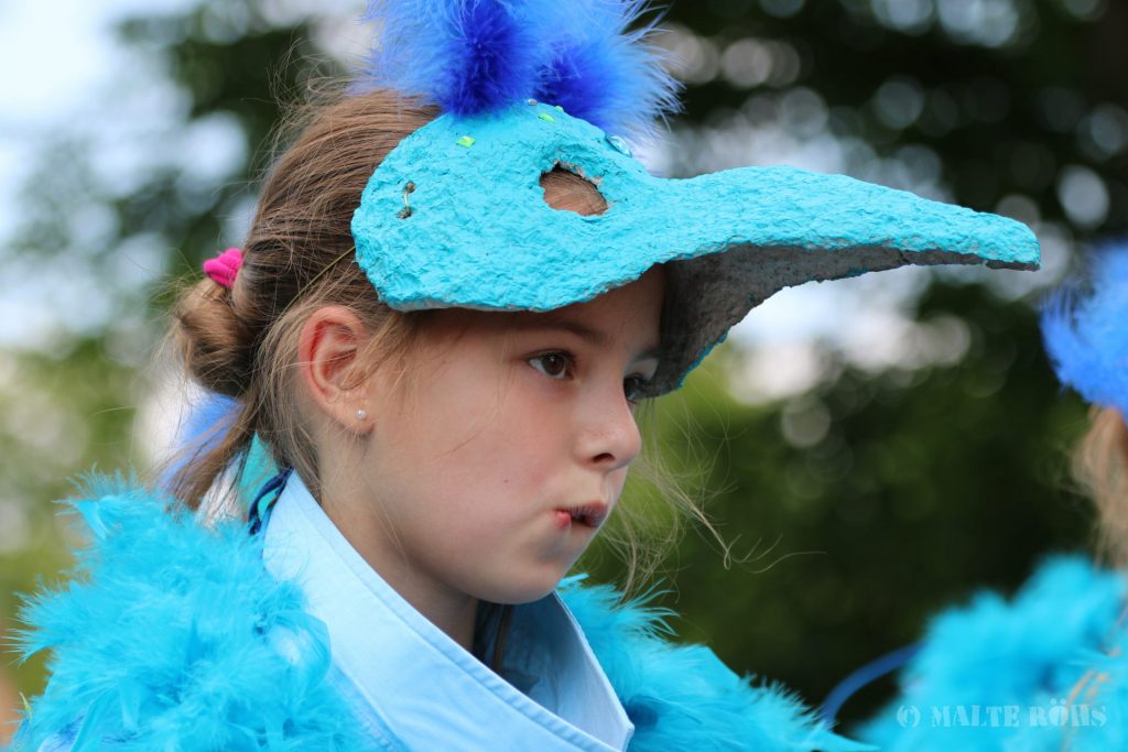 Carnival der Kulturen 2015 in Bielefeld, Germany