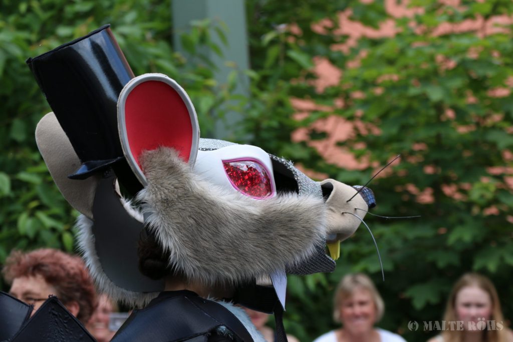 Carnival der Kulturen 2015 in Bielefeld, Germany