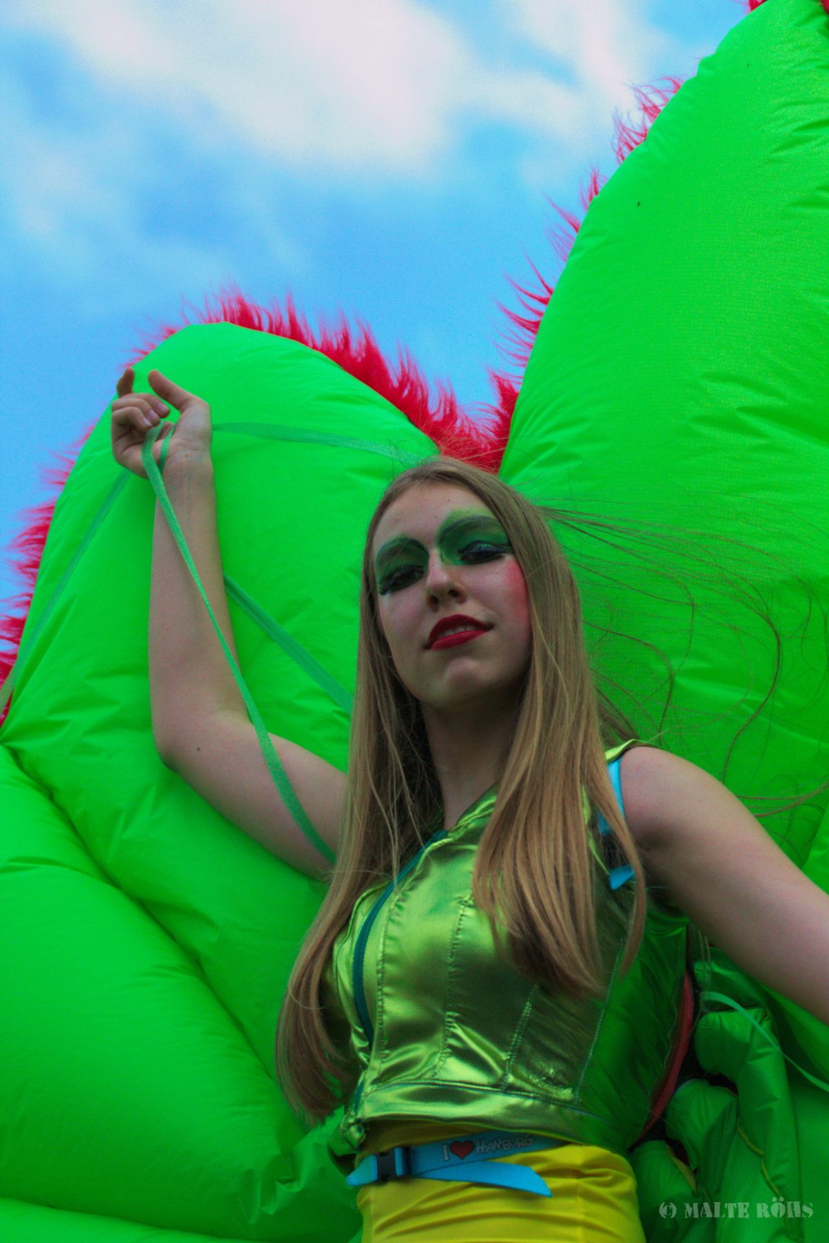 Carnival der Kulturen 2015 in Bielefeld, Germany