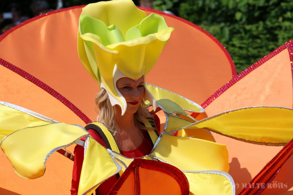 Carnival der Kulturen 2016, Bielefeld, Germany
