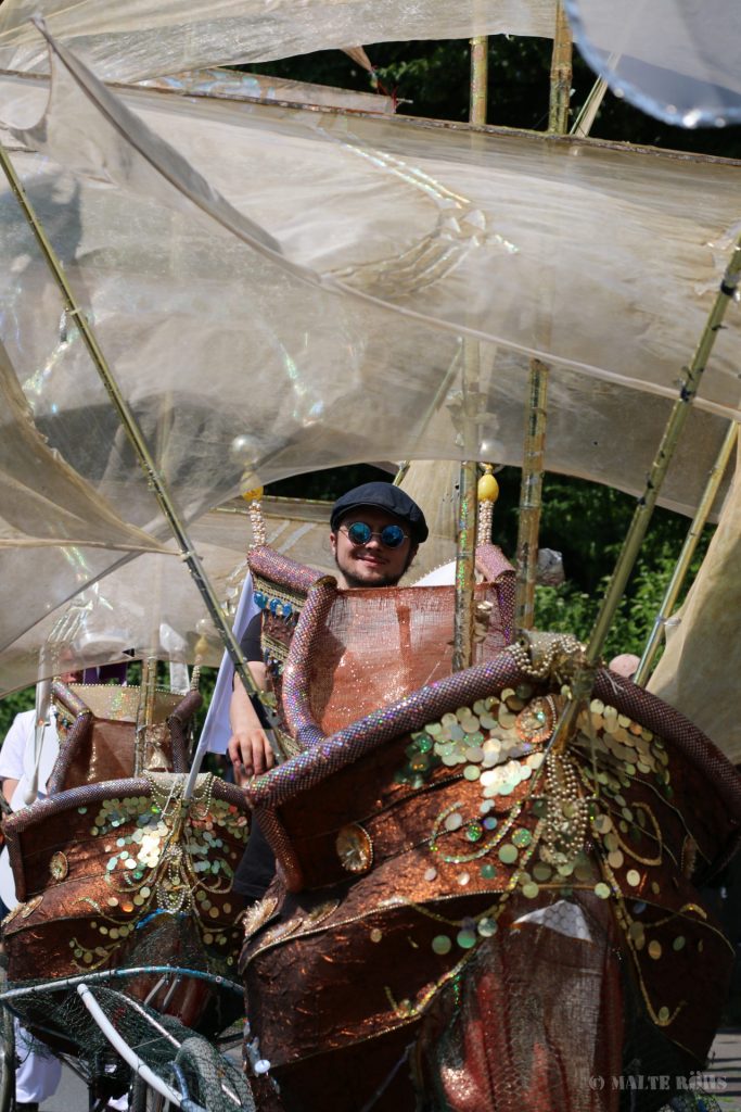 Carnival der Kulturen 2016, Bielefeld, Germany